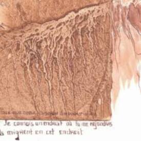 Sophie SIMONET - images 2.jpg