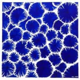 Marie Ange Mory - SINDU - images 1.jpg