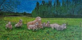 Ralph SPEGELAERE - Les moutons d'Emile.jpg