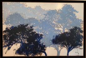 Olivier SUIRE VERLEY - 20250309_094449000_iOS.jpg