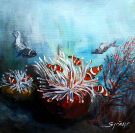 Irène Pouvreau - SYRÈNE - 20x20 Poissons clown 2025 