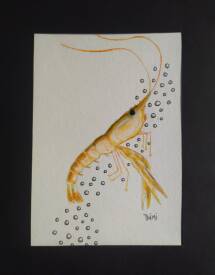 Dominique THÉMÉ - IMG_20260124_180154.jpg