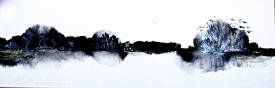 Martine THIBAUD - PAYSAGE ALÉATOIRE AUX OISEAUX -30X90_Encre de Chine et techniques mixtes sur papier Xuan marouflé sur toile.JPG