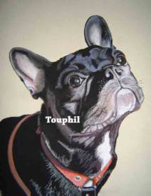 Philippe TOUPHIL - Louna-le-Bulldog-Francais-2.jpg