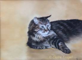 Claire TRAGEL - LE CHAT