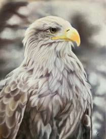 Claire TRAGEL - UN AIGLE