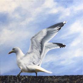 Claire TRAGEL - LA MOUETTE