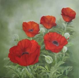 Claire TRAGEL - COQUELICOTS_5755.JPG