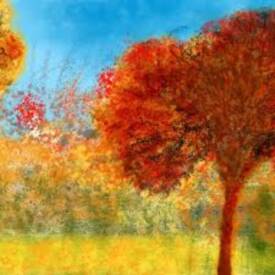 Anne TURLAIS - images 6.jpg