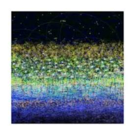 Anne TURLAIS - images 1.jpg