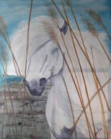 Patrick VANDEN - 83e8c4aa-36c5-4b16-95c4-d1dc755f16d8 (2).jpg