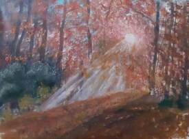 Patrick VANDEN - caac57a9-056d-4ce0-a6ff-8f77ce9694fb.jpg