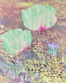 Michel VAUTIER - images 6.jpg