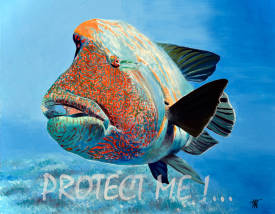 Jean Jacques VENTURINI - Protect me ! : 6.