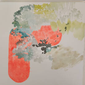 Anna VLIET - IMG_20250603_184936.jpg