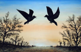 Pierre VOGEL - a Dialogue à contre jour.jpg