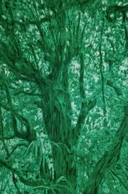 Tristan VYSKOC - images 1.jpg