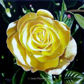 Jean-Pierre WALTER - Rose jaune