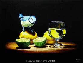 Jean-Pierre WALTER - La mésange bleue