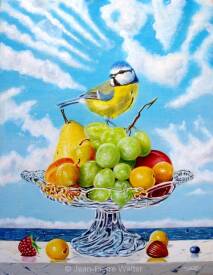 Jean-Pierre WALTER - Mésange bleue à la coupe de fruits