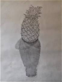 Sylvain ZABETH - 20‘ étude 'crayon sur papier. Ananas 65x50cm.jpg
