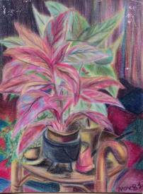 Sylvain ZABETH - 1981'HLM et plante d'interieur' Pastel gras sur  papier 24x32cm.jpg