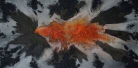 Karen ZIPF - sans titre